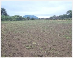  2025Ÿ��7867 ���� ���ֽ� ������ �ϵ��� 639-1      ����(��1)���