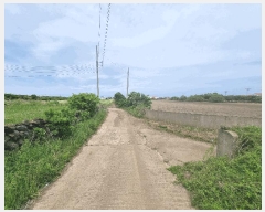  2025Ÿ��7876 ���� ���ֽ� �쵵�� ���� 679      ����(��1)���