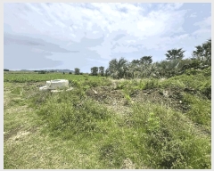  2025Ÿ��7920 ���� �������� ������ ��� 1893      ����(�Ӿ�)���