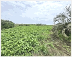  2025Ÿ��7920 ���� �������� ������ ��� 1893      ����(�Ӿ�)���