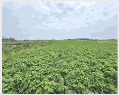  2025Ÿ��7920 ���� �������� ������ ��� 1893      ����(�Ӿ�)���