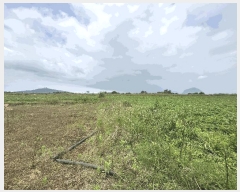  2025Ÿ��7920 ���� �������� ������ ��� 1893      ����(�Ӿ�)���