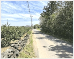  2025Ÿ��7944  ����������