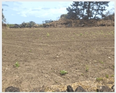  2025Ÿ��7969 ���� ���ֽ� ������ �ϵ��� 2073      ����(��1)���