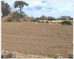  2025Ÿ��7969 ���� ���ֽ� ������ �ϵ��� 2073      ����(��1)���