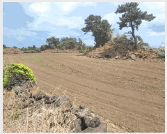  2025Ÿ��7969 ���� ���ֽ� ������ �ϵ��� 2073      ����(��1)���