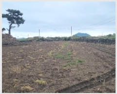  2025Ÿ��7969 ���� ���ֽ� ������ �ϵ��� 2073      ����(��1)���