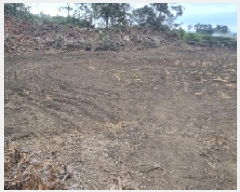  2025Ÿ��7969 ���� ���ֽ� ������ �ϵ��� 2073      ����(��1)���