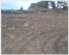  2025Ÿ��7969 ���� ���ֽ� ������ �ϵ��� 2073      ����(��1)���