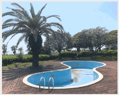  2025Ÿ��7987 ���� �������� ������ 3370       ����(������)���