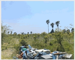  2025Ÿ��7987 ���� �������� ������ 3370       ����(������)���