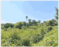  2025Ÿ��7987 ���� �������� ������ 3370       ����(������)���