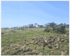  2025Ÿ��8219 ���� �������� ������ �ϰ��� 951      ����(��1)���