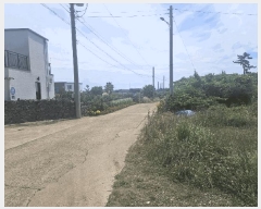  2025Ÿ��8219 ���� �������� ������ �ϰ��� 951      ����(��1)���