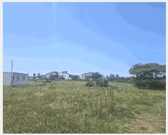  2025Ÿ��8219 ���� �������� ������ �ϰ��� 951      ����(��1)���