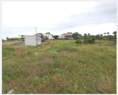  2025Ÿ��8219 ���� �������� ������ �ϰ��� 951      ����(��1)���