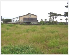  2025Ÿ��8219 ���� �������� ������ �ϰ��� 951      ����(��1)���