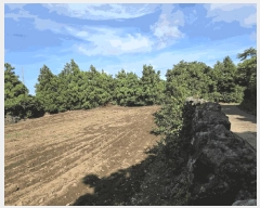  2025Ÿ��8552 ���� �������� ������ ���긮 1200-1      ����(��1)���