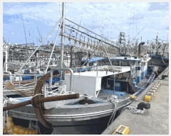  2025Ÿ��8698 ���� ���ֽ� ������        ���ڰ��