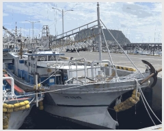  2025Ÿ��8698 ���� ���ֽ� ������        ���ڰ��