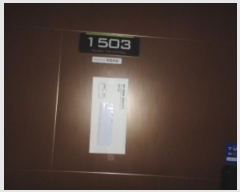  2025Ÿ53  ֽ 1 24, 141503ȣ (,޾ȴƮ)     ܵ(ȣ)