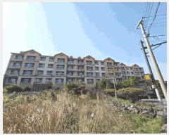  2025Ÿ��237 ���� ���ֽ� ���ؾȷ� 146, 101�� 4��504ȣ (�����ϵ�,���ΰ�������)    �ټ���,������