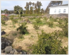  2025Ÿ411   ȸ 324       (1)