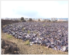  2025Ÿ503  ֽ ֿ  1524-1      (1)