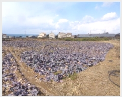  2025Ÿ503  ֽ ֿ  1524-1      (1)