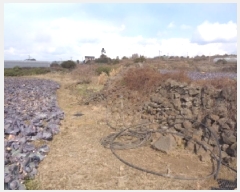  2025Ÿ503  ֽ ֿ  1524-1      (1)