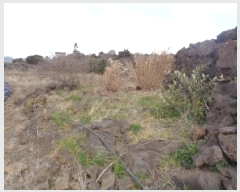  2025Ÿ503  ֽ ֿ  1524-1      (1)