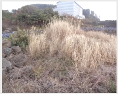  2025Ÿ503  ֽ ֿ  1524-1      (1)