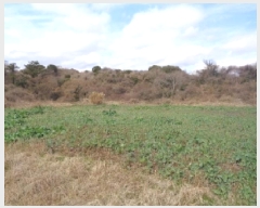  2025Ÿ602   ȴ ȭ 1776      (1)