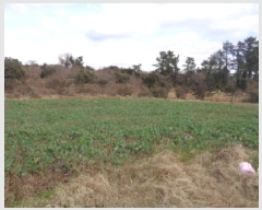  2025Ÿ602   ȴ ȭ 1776      (1)