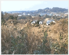  2025Ÿ899   ȴ 긮 7      (1)