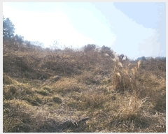  2025Ÿ899   ȴ 긮 7      (1)