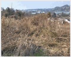  2025Ÿ899   ȴ 긮 7      (1)