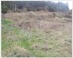  2025Ÿ899   ȴ 긮 7      (1)