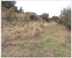  2025Ÿ899   ȴ 긮 7      (1)