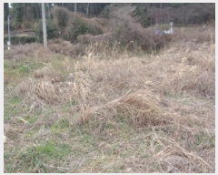  2025Ÿ899   ȴ 긮 7      (1)