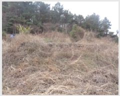  2025Ÿ899   ȴ 긮 7      (1)