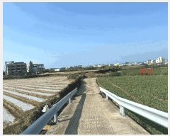  2025Ÿ973  ֽ   290      (1)