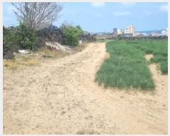  2025Ÿ973  ֽ   290      (1)