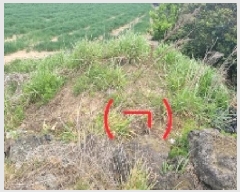  2025Ÿ973  ֽ   290      (1)