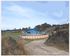  2025Ÿ��1053 ���� ���ֽ� �ֿ��� ������ 1186 ����     ���(�󰡽ü�)���