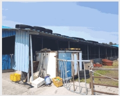  2025Ÿ��1053 ���� ���ֽ� �ֿ��� ������ 1186 ����     ���(�󰡽ü�)���