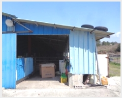  2025Ÿ��1053 ���� ���ֽ� �ֿ��� ������ 1186 ����     ���(�󰡽ü�)���