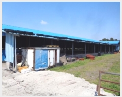  2025Ÿ��1053 ���� ���ֽ� �ֿ��� ������ 1186 ����     ���(�󰡽ü�)���