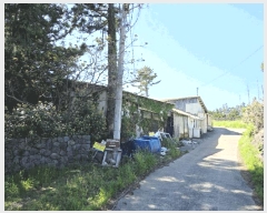  2025Ÿ��1162 ���� �������� ���޵� 1544       ����(������)���