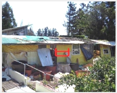  2025Ÿ��1162 ���� �������� ���޵� 1544       ����(������)���